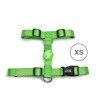 Arnes Dashi Solid Colors Verde XS Arnes Dashi Solid Colors Verde XS
