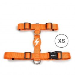 Arnes Dashi Solid Colors Laranja L