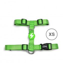 Arnes Dashi Solid Colors Verde L
