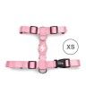 Arnes Dashi Solid Colors Rosa XS Arnes Dashi Solid Colors Rosa XS