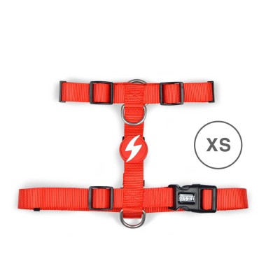 Arnes Dashi Solid Colors Vermelho XS