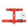 Arnes Dashi Solid Colors Vermelho XS Arnes Dashi Solid Colors Vermelho XS