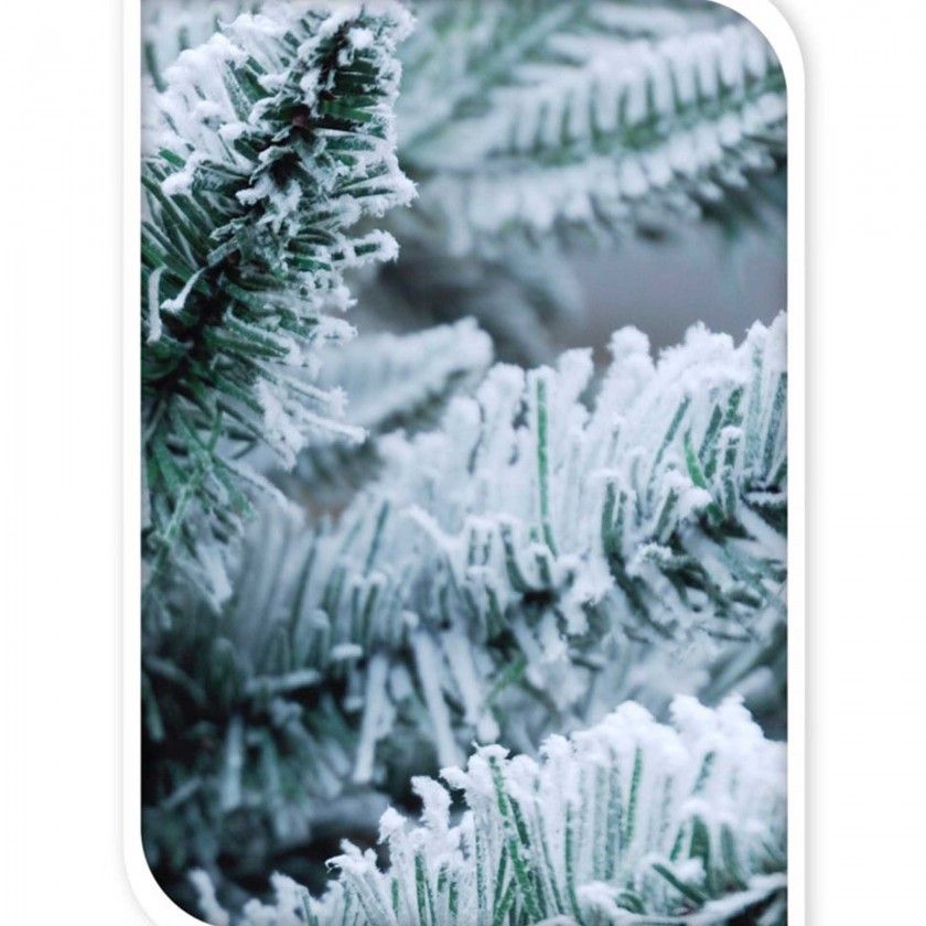 rvore Natal Verde Com Neve 210CM