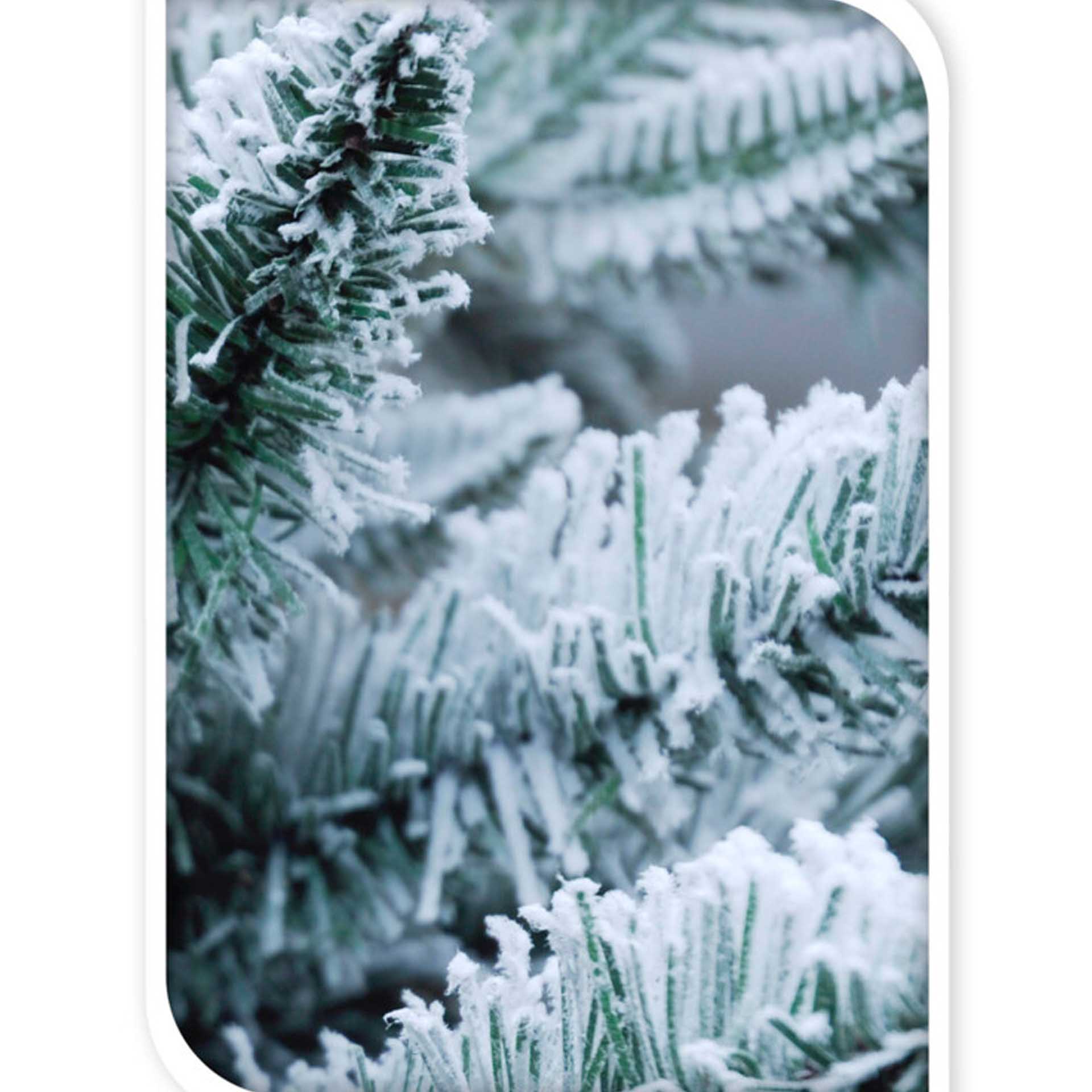 Árvore Natal Verde Com Neve 210CM