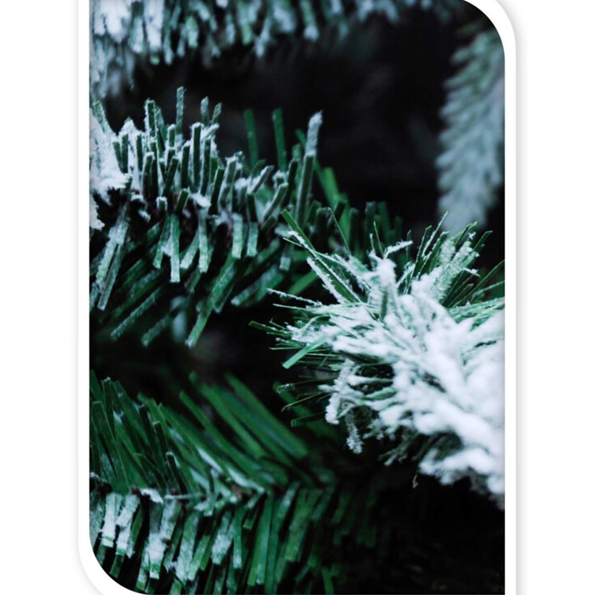 Árvore Natal Verde Com Neve 180CM