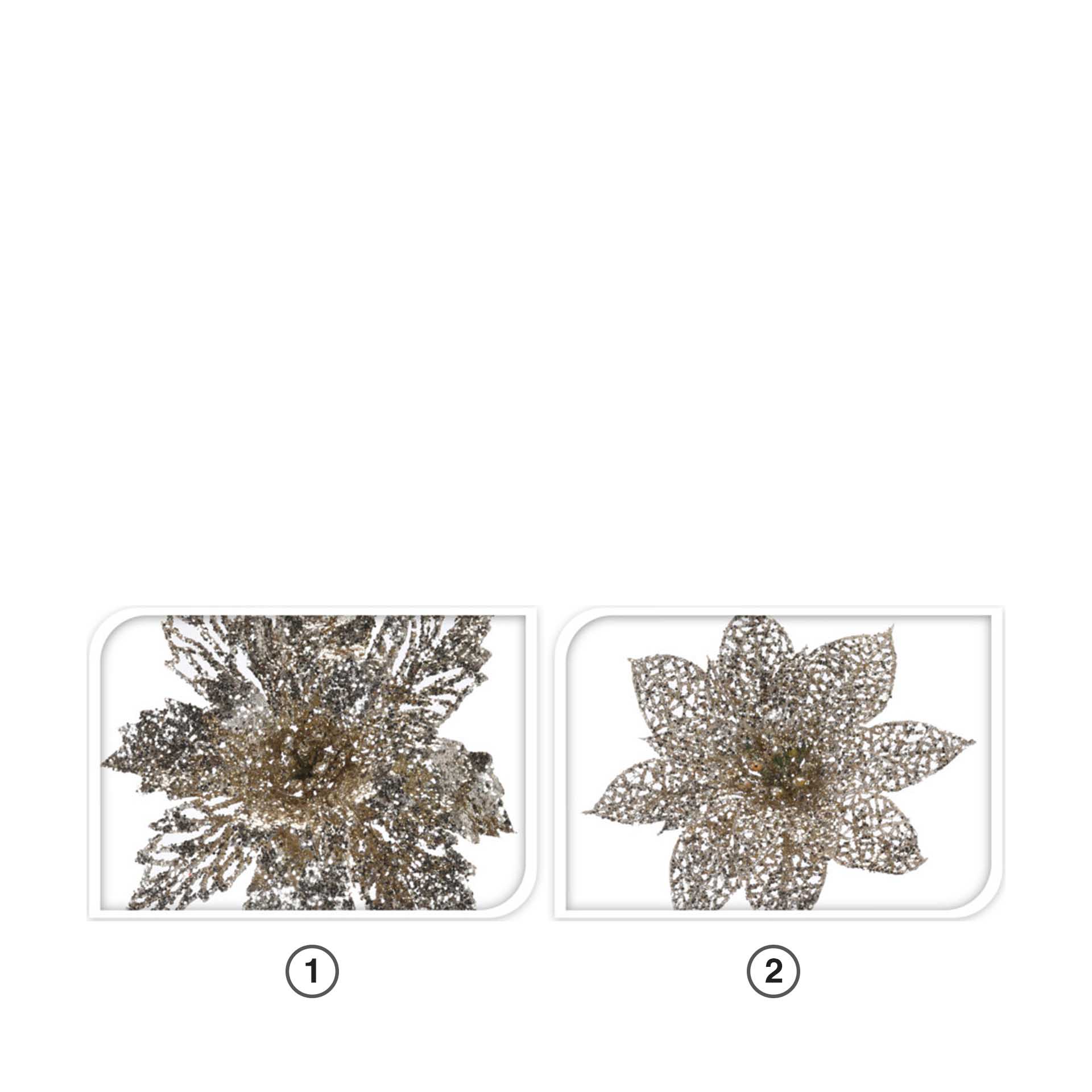 Flor Natal Champagne 21CM