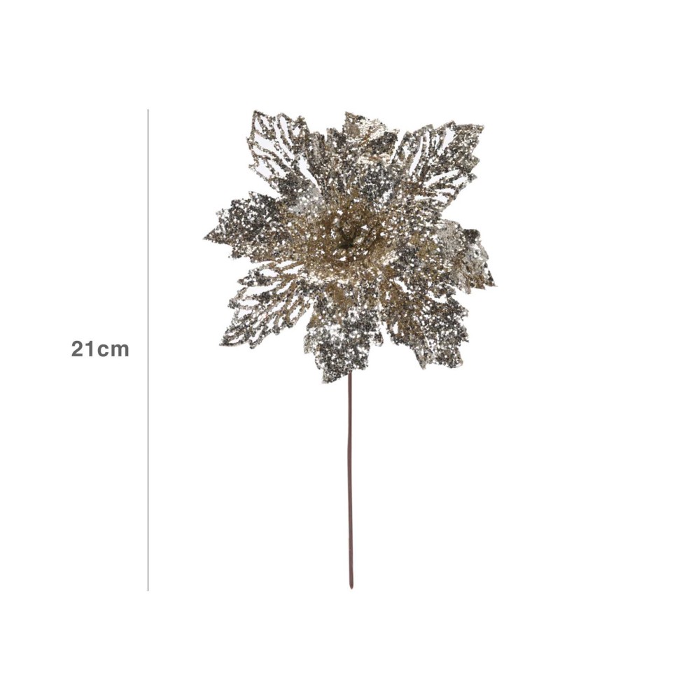 Flor Natal Champagne 21CM