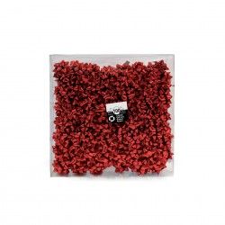 Lao Estrela 10mm Metal Vermelho Caixa 100