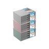 Caixa Organizadora 4 Gavetas Transparentes Pastel A5 23X11X17cm