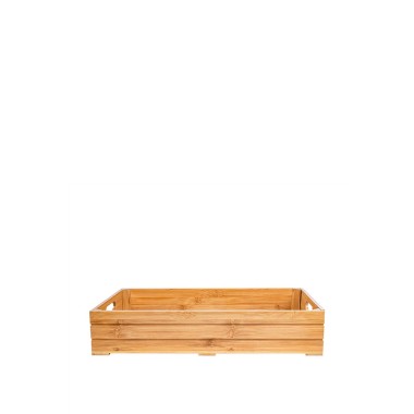 Container Bambu 1/1 53X32.5X10CM