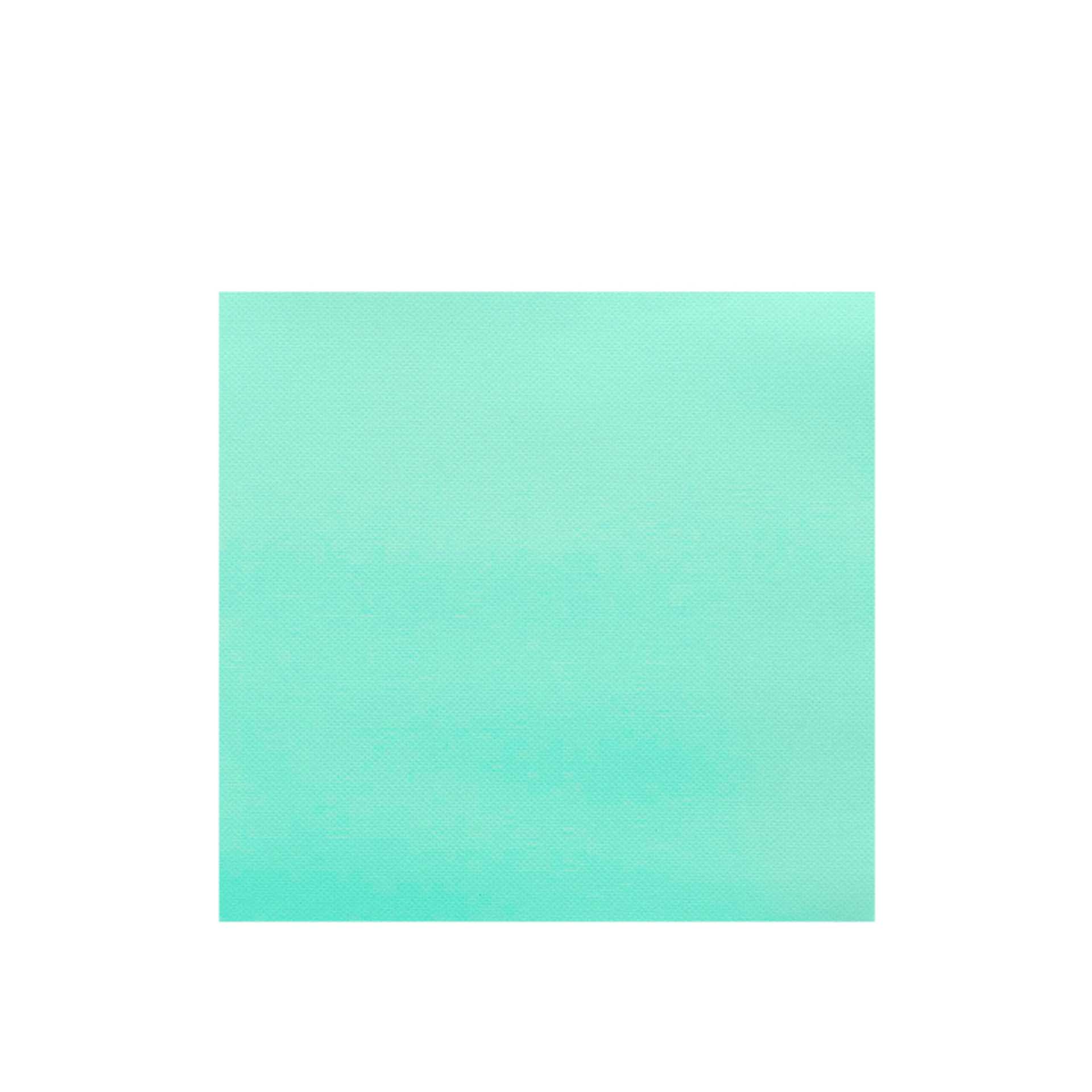 Guardanapo Ecolabel 2 Folhas 39X39CM Pack 50