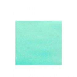 Guardanapo Ecolabel 2 Folhas 39X39CM Pack 50