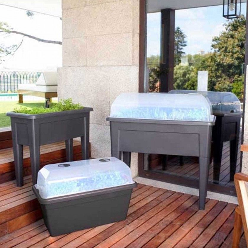 Tampa Venezia Para Horta 80X35.5X19cm Transparente Tampa Venezia Para Horta 80X35.5X19cm Transparente