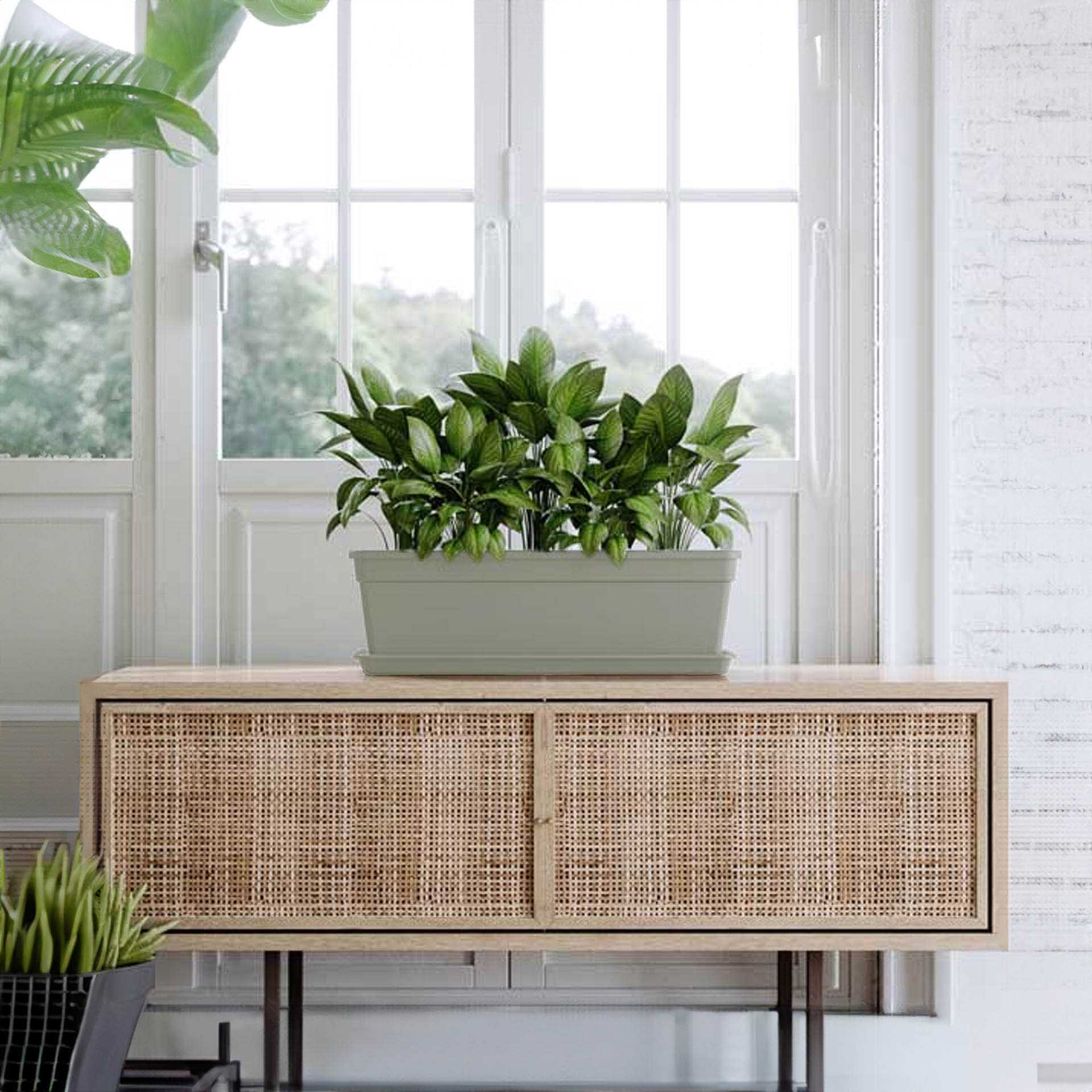 Prato Madagascar Retangular