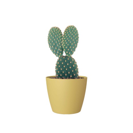 Vaso San Remo Mate �6X5.8cm 0.1L Amarelo Mel - Image product