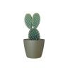 Vaso San Remo Mate Ø6X5.8cm 0.1L Verde Seco Vaso San Remo Mate Ø6X5.8cm 0.1L Verde Seco