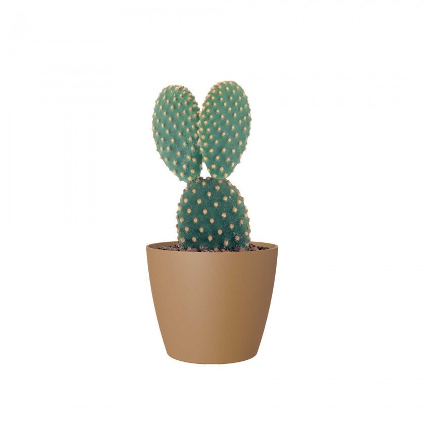 Vaso San Remo Mate Ø6X5.8cm 0.1L Mostarda Vaso San Remo Mate Ø6X5.8cm 0.1L Mostarda