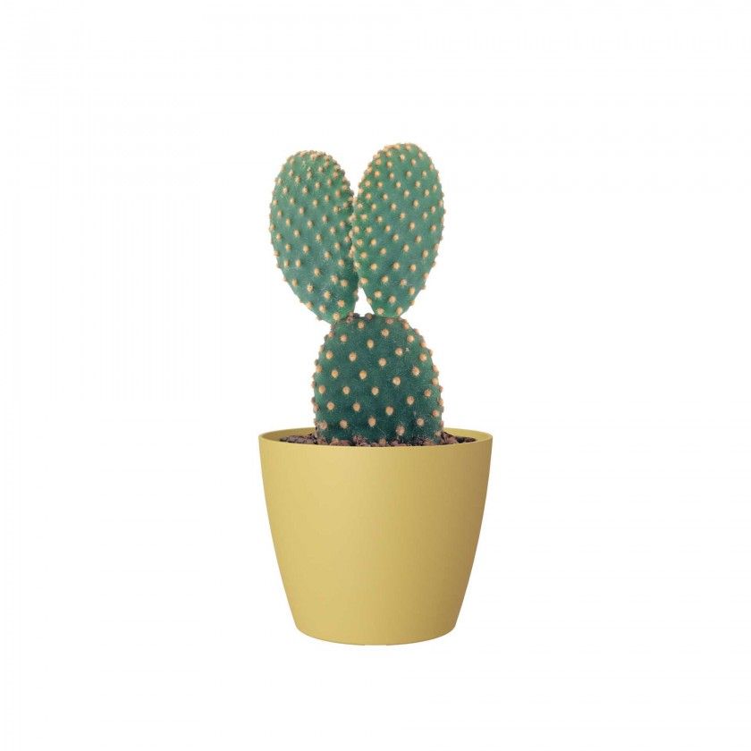 Vaso San Remo Mate 6X5.8cm 0.1L Amarelo Mel