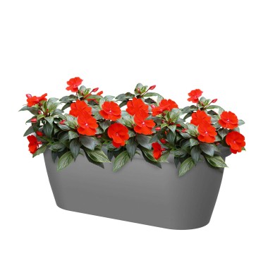 Floreira Algarve Parede 38.5X14.2X14.5cm 5L Tortora Mate