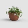 Vaso Algarve Parede 30.8X16.5X23.5cm 5.3L Terracota Vaso Algarve Parede 30.8X16.5X23.5cm 5.3L Terracota