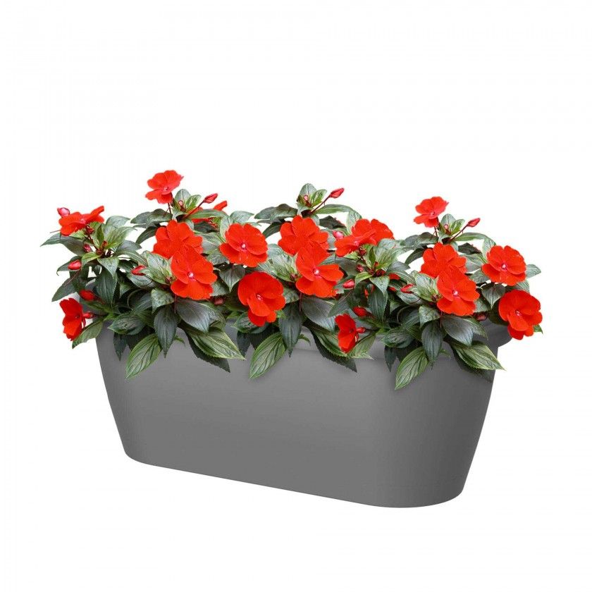 Floreira Algarve Parede 38.5X14.2X14.5cm 5L Tortora Mate Floreira Algarve Parede 38.5X14.2X14.5cm 5L Tortora Mate