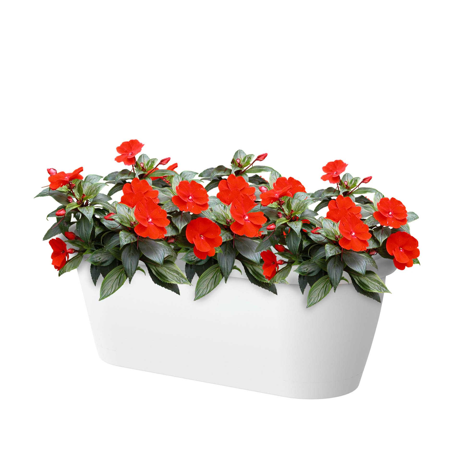 Floreira Algarve Parede 38.5X14.2X14.5cm 5L Branco