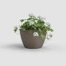 Vaso Algarve Parede 30.8X16.5X23.5cm 5.3L Tortora Mate Vaso Algarve Parede 30.8X16.5X23.5cm 5.3L Tortora Mate