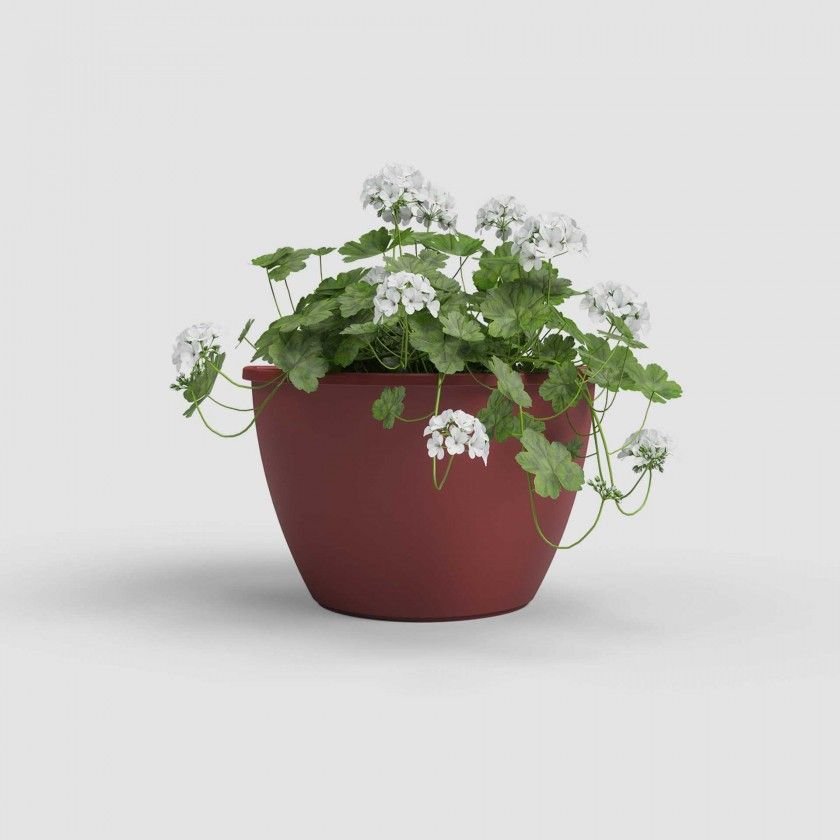 Vaso Algarve Parede 30.8X16.5X23.5cm 5.3L Vermelho Escuro