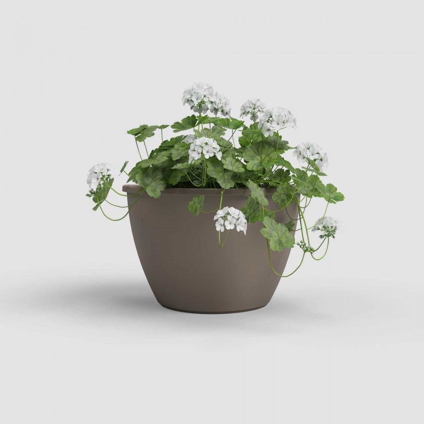 Vaso Algarve Parede 30.8X16.5X23.5cm 5.3L Tortora Mate