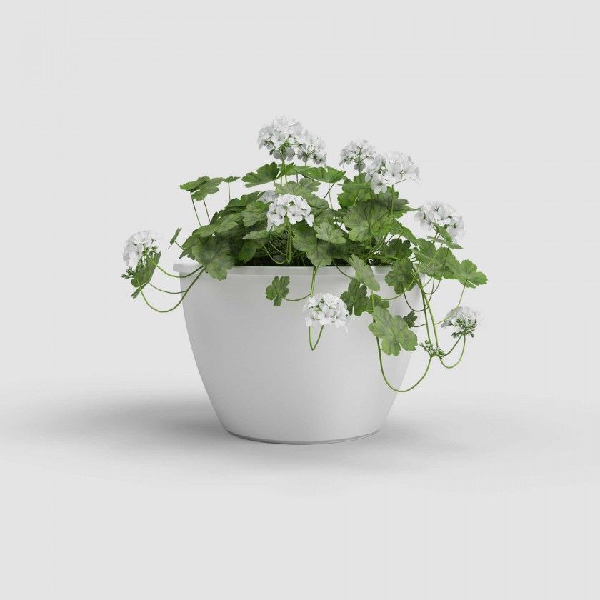 Vaso Algarve Parede 30.8X16.5X23.5cm 5.3L Branco