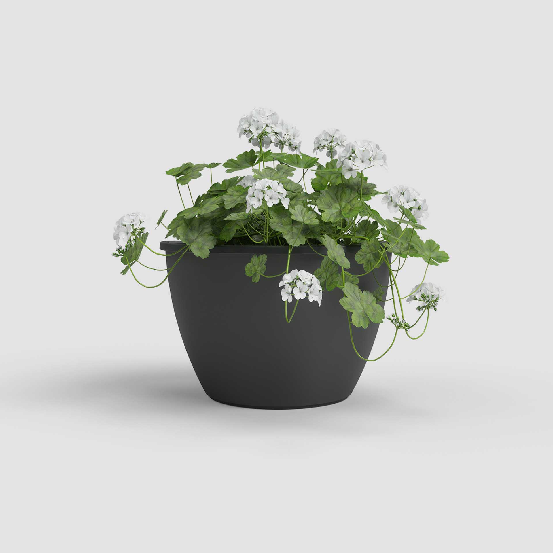 Vaso Algarve Parede 30.8X16.5X23.5cm 5.3L Antracite