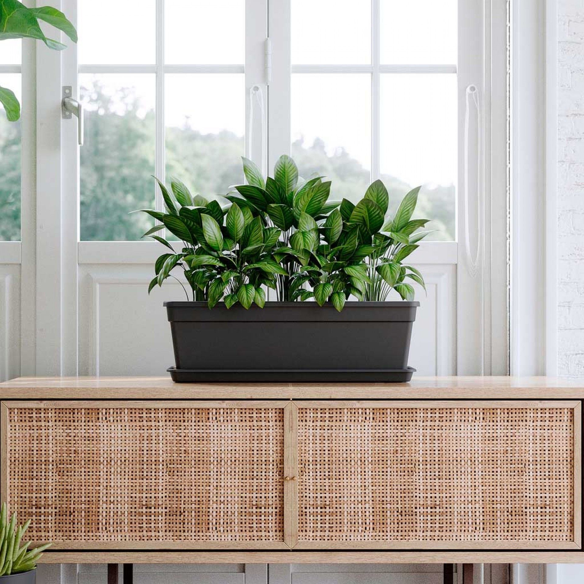 Floreira Madagascar Retangular