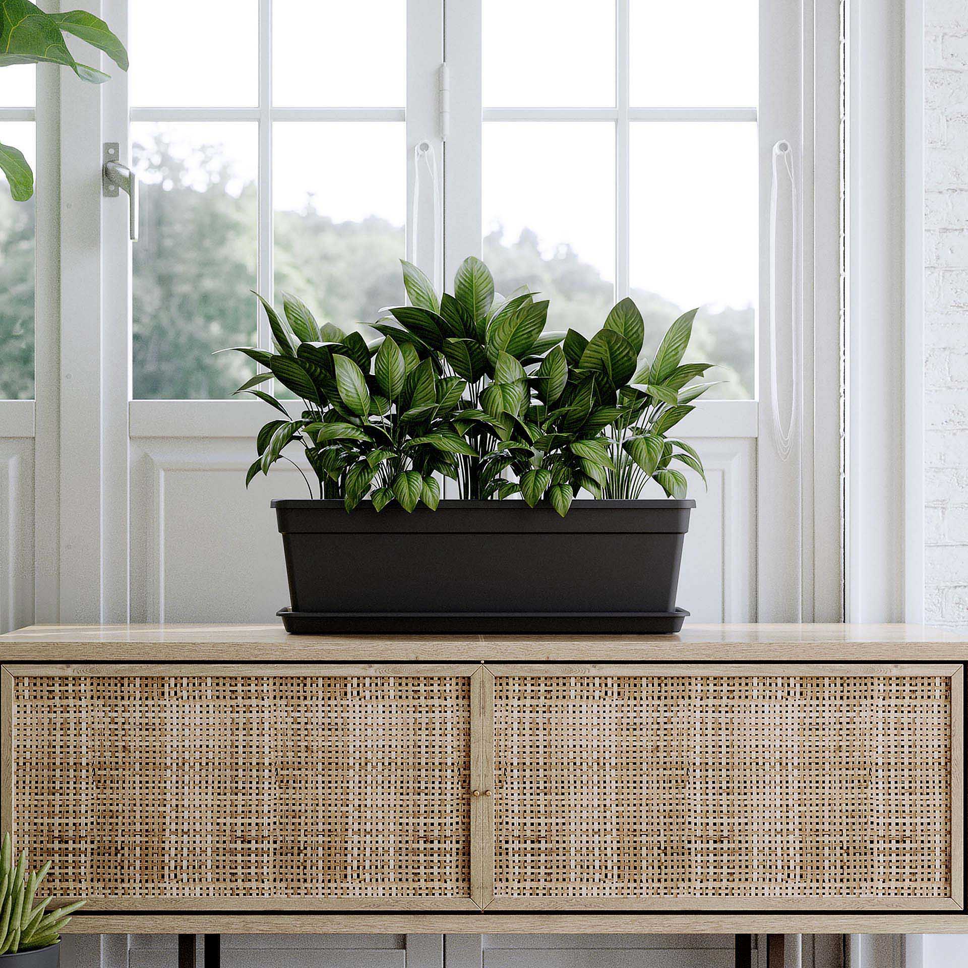 Floreira Madagascar Retangular