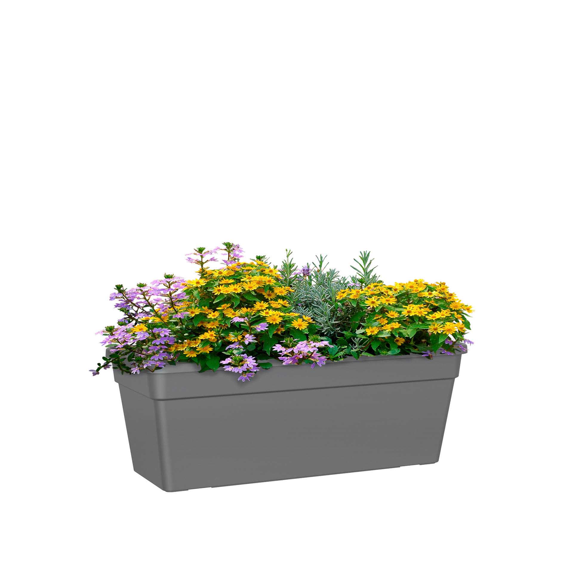 Floreira Madagascar Retangular