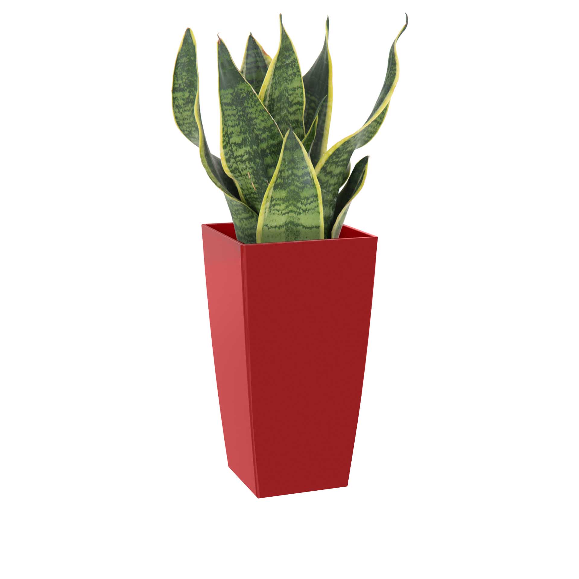 Vaso Pisa 14X14X26cm 3.5L Vermelho Escuro