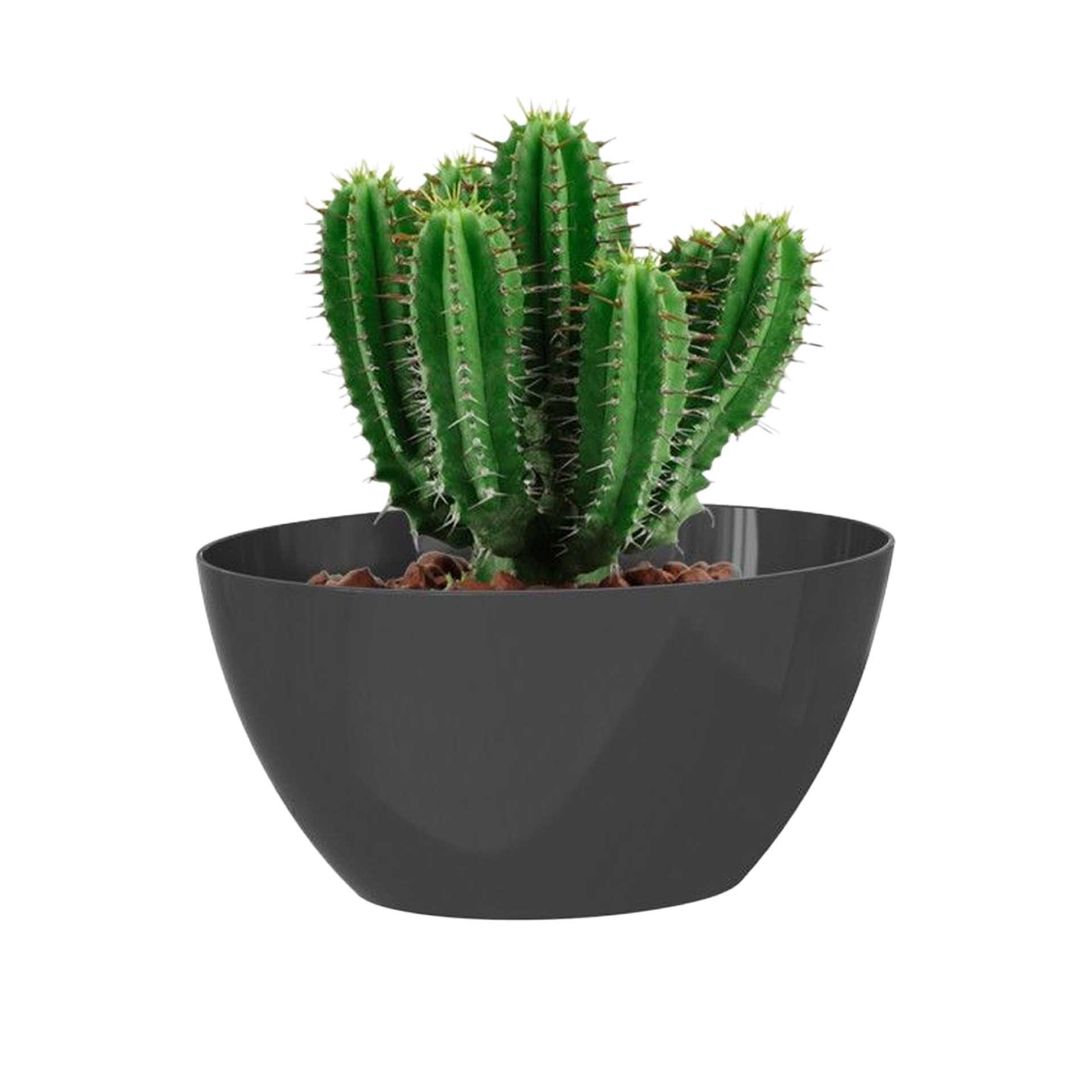 Floreira Bahia 45X17X15cm 6.2L Antracite