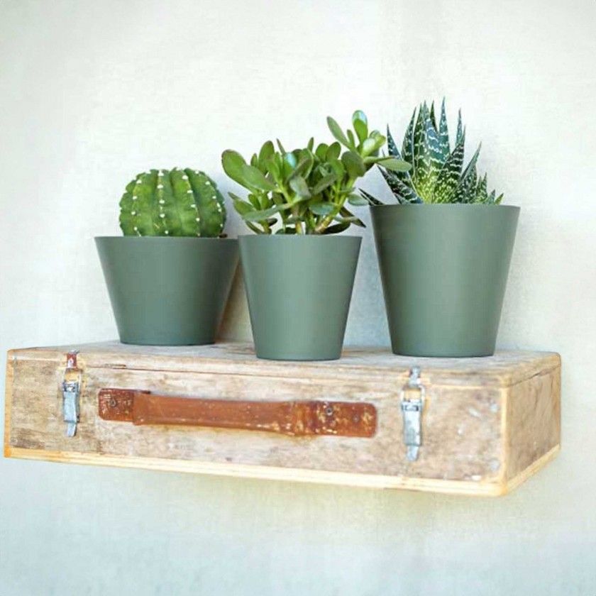 Vaso Porto 18.3X18cm 3.4L Verde Seco