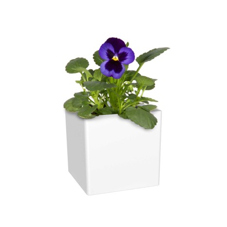 Vaso Oslo - Image product