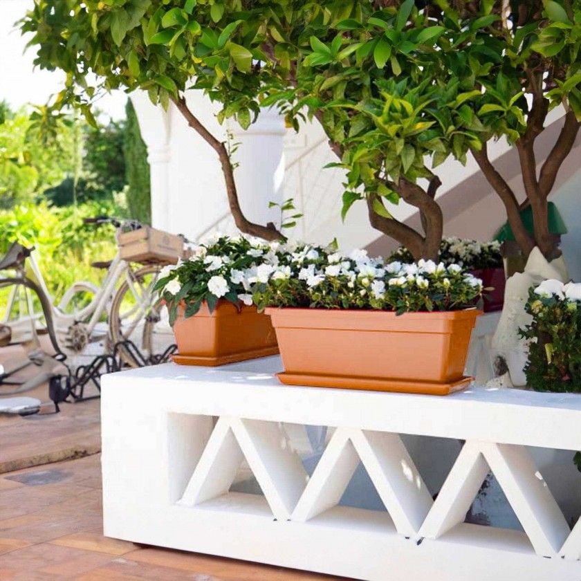 Prato Venezia Xl Retangular 73X32X4.7cm 5.2L Bronze