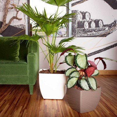 Vaso Siena Com Rodas 40X40X36cm Vermelho Escuro
