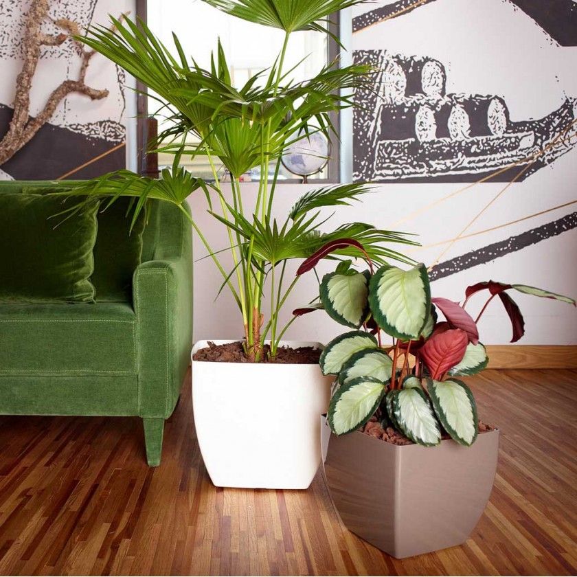 Vaso Siena Com Rodas 40X40X36cm Vermelho Escuro