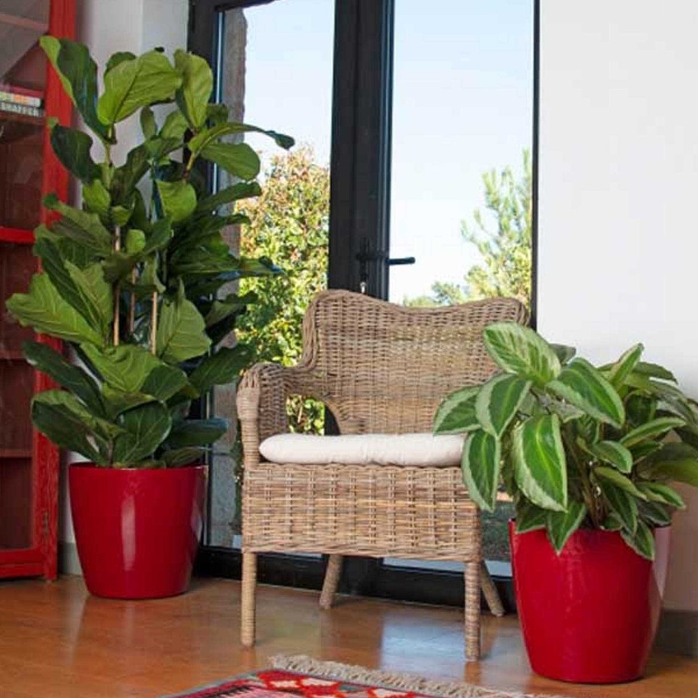 Vaso San Remo Ø6X5.8cm 0.1L Vermelho Escuro