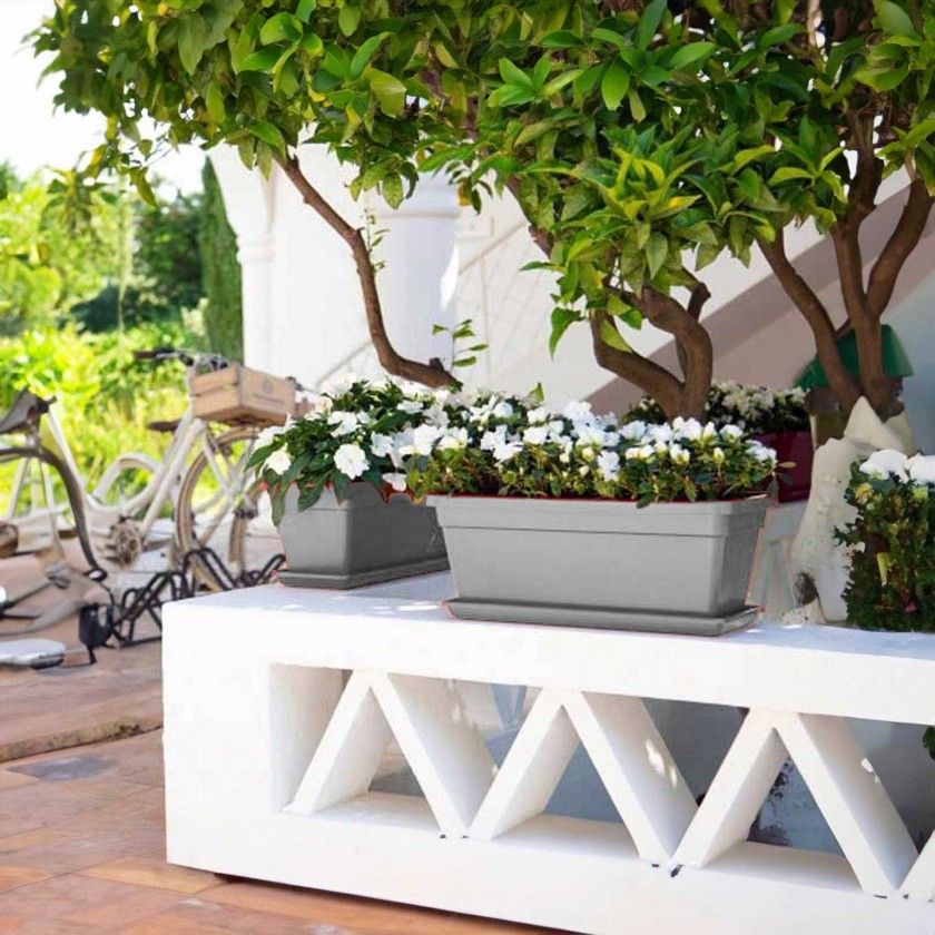 Prato Venezia Xl Retangular 55X26X3.7cm 5.2L Antracite