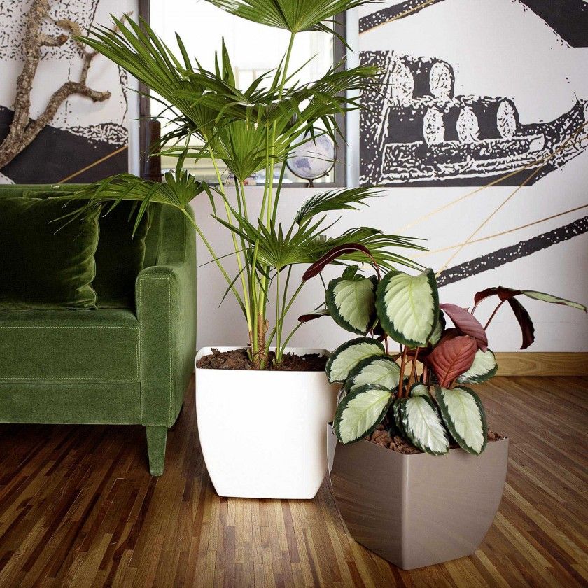 Vaso Siena Com Rodas 40X40X36cm