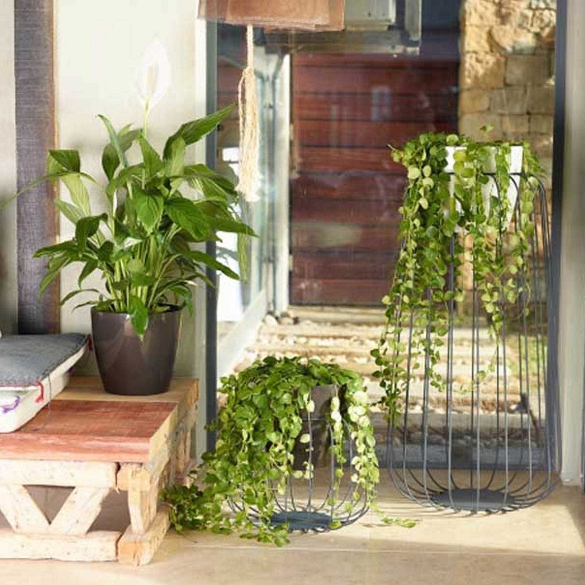 Vaso San Remo Ø9X7.5cm 0.4L Antracite