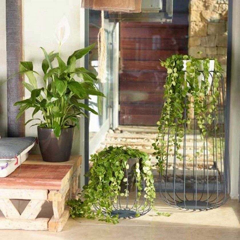 Vaso San Remo Ø9X7.5cm 0.4L Antracite Vaso San Remo Ø9X7.5cm 0.4L Antracite