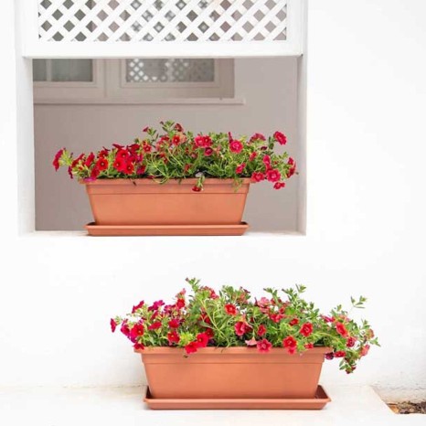 Prato Venezia Retangular 37.4X17.5X3.3cm Bronze - Image product