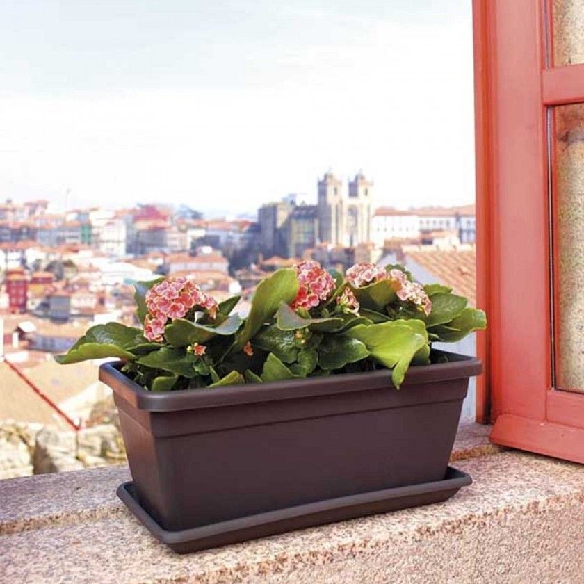 Prato Venezia Retangular 57.4X17.5X3.3cm Antracite