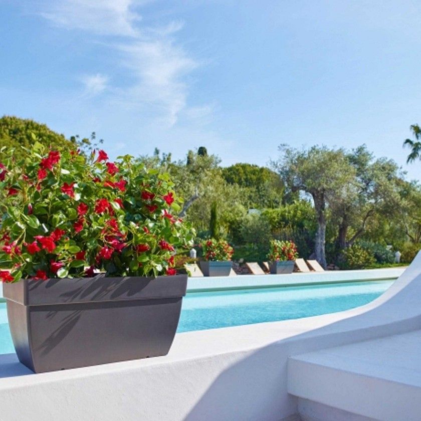 Floreira Capri Xl 60X35X35cm 55.2L Antracite Floreira Capri Xl 60X35X35cm 55.2L Antracite