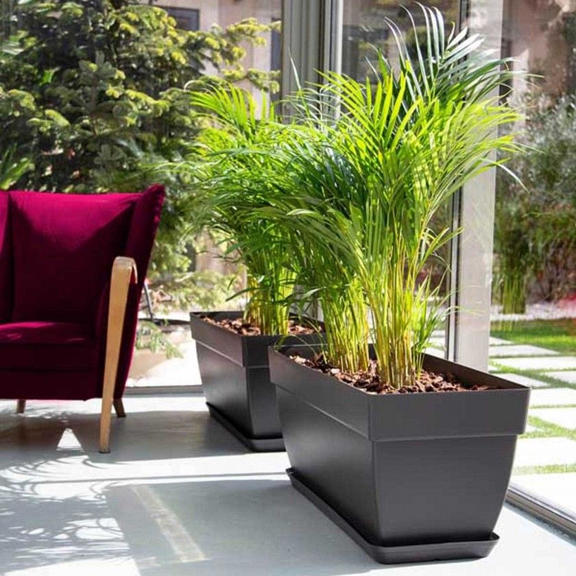 Prato Floreira Capri Xl Retangular 71.5X34X4.5cm Antracite